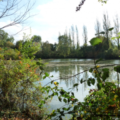 Nettoyage de la nature en bord de Loire