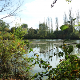 Nettoyage de la nature en bord de Loire