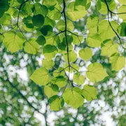 Neurodon avec animation au jardin de la Guesnonnière