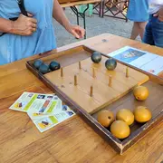 Neuvic gourmand et Feu d'artifice