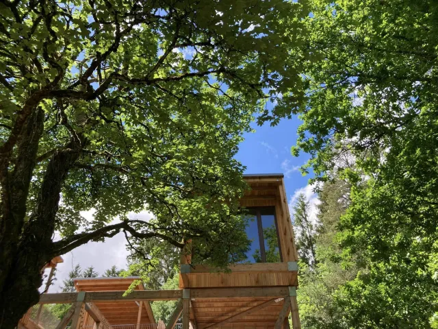Cabins in the trees, in the heart of the Vosges
