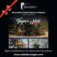 Une idée cadeau originale pour Noël DR