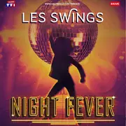 NIGHT FEVER - SPECTACLE DANSANT (Le Cabaret Gaillard)