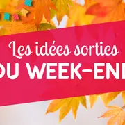 Les 5 concerts pop et folk à ne pas manquer à Lille en décembre 2025