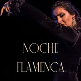 Noche Flamenca Nati James