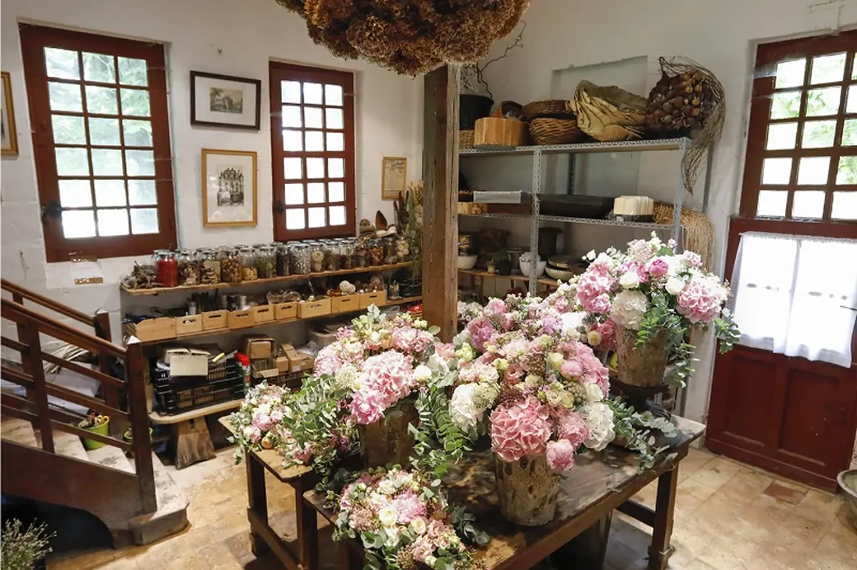 Nocturne au Château