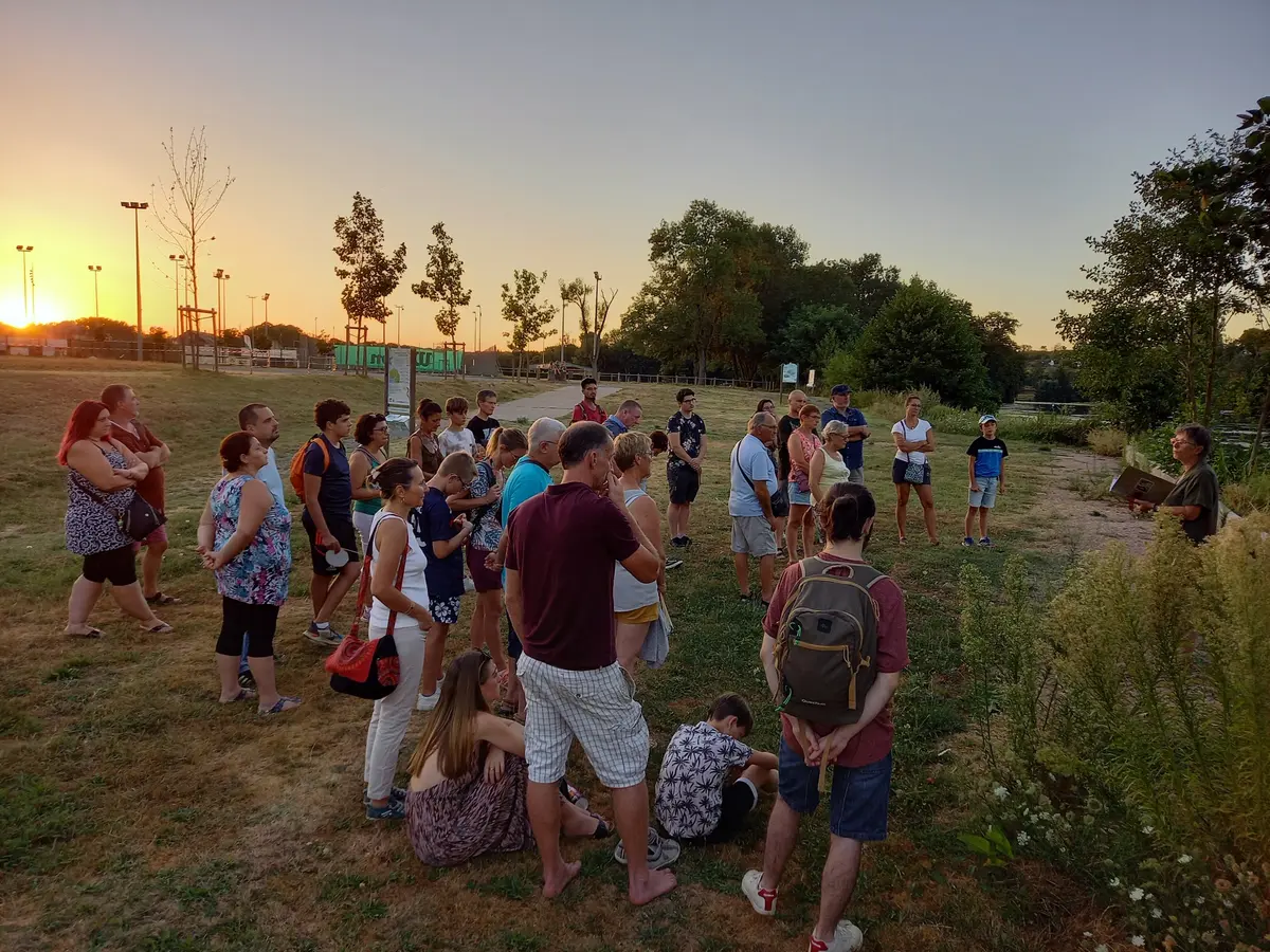 Nocturne Decize Lumières