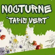 Nocturne Tapis Vert au centre-ville de Mulhouse
