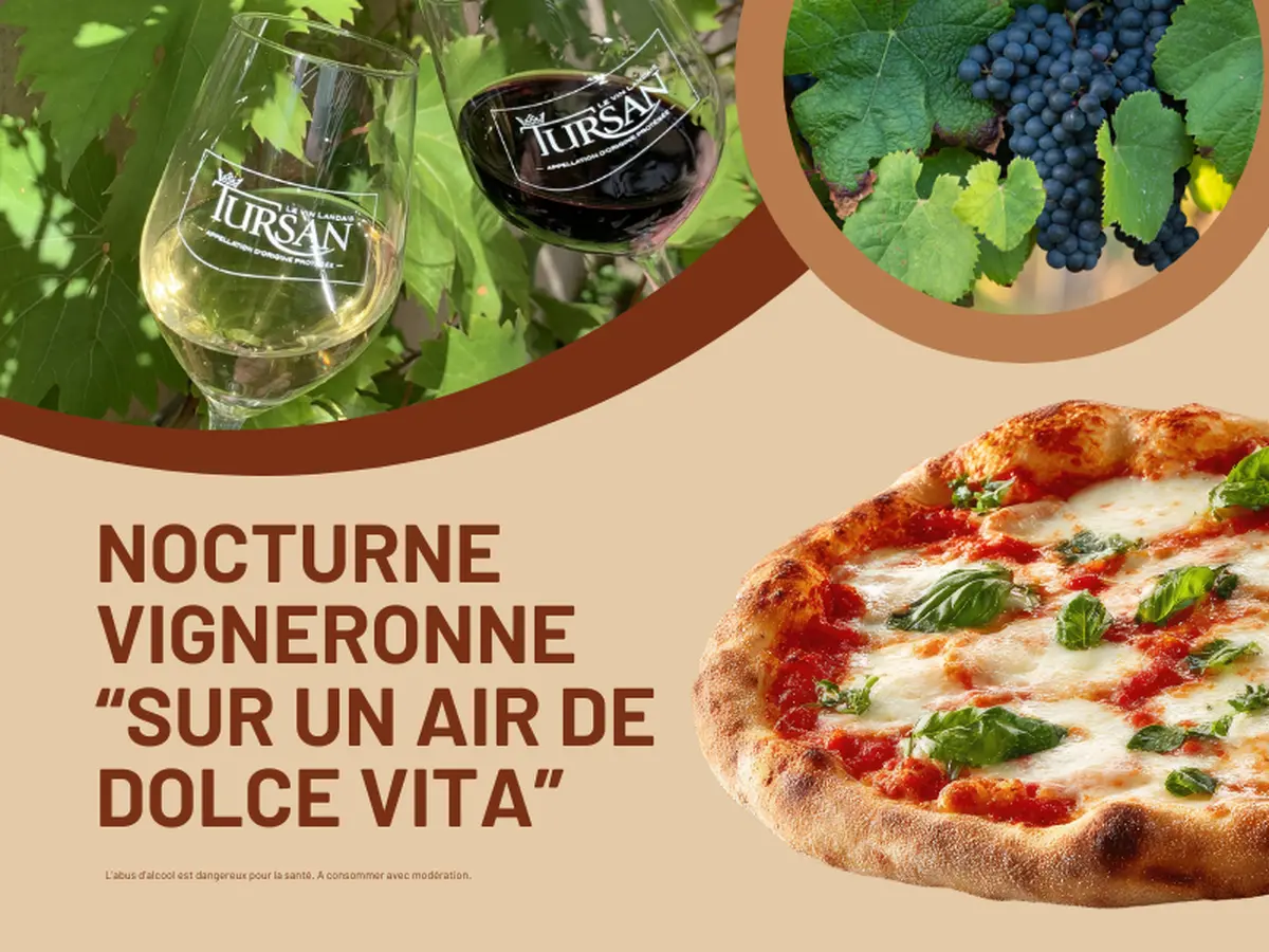 Nocturne vigneronne Sur un air de dolce vita