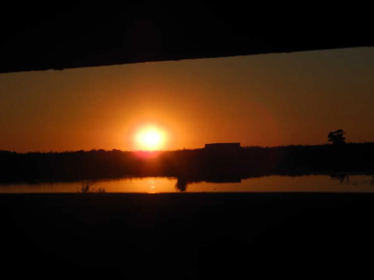 Nocturnes Chouette et Compagnie à Terres d'Oiseaux