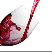 Nocturnes sur Loire : cidre