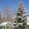 Marché de Noël à Bouxwiller sous la neige DR
