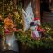Noël  à Bergheim&nbsp;: Marché de Noël &copy; Vincent Schneider - OT Pays de Ribeauvillé et Riquewihr