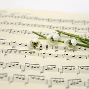 Noël à Brive 2025 : Spectacles enfants