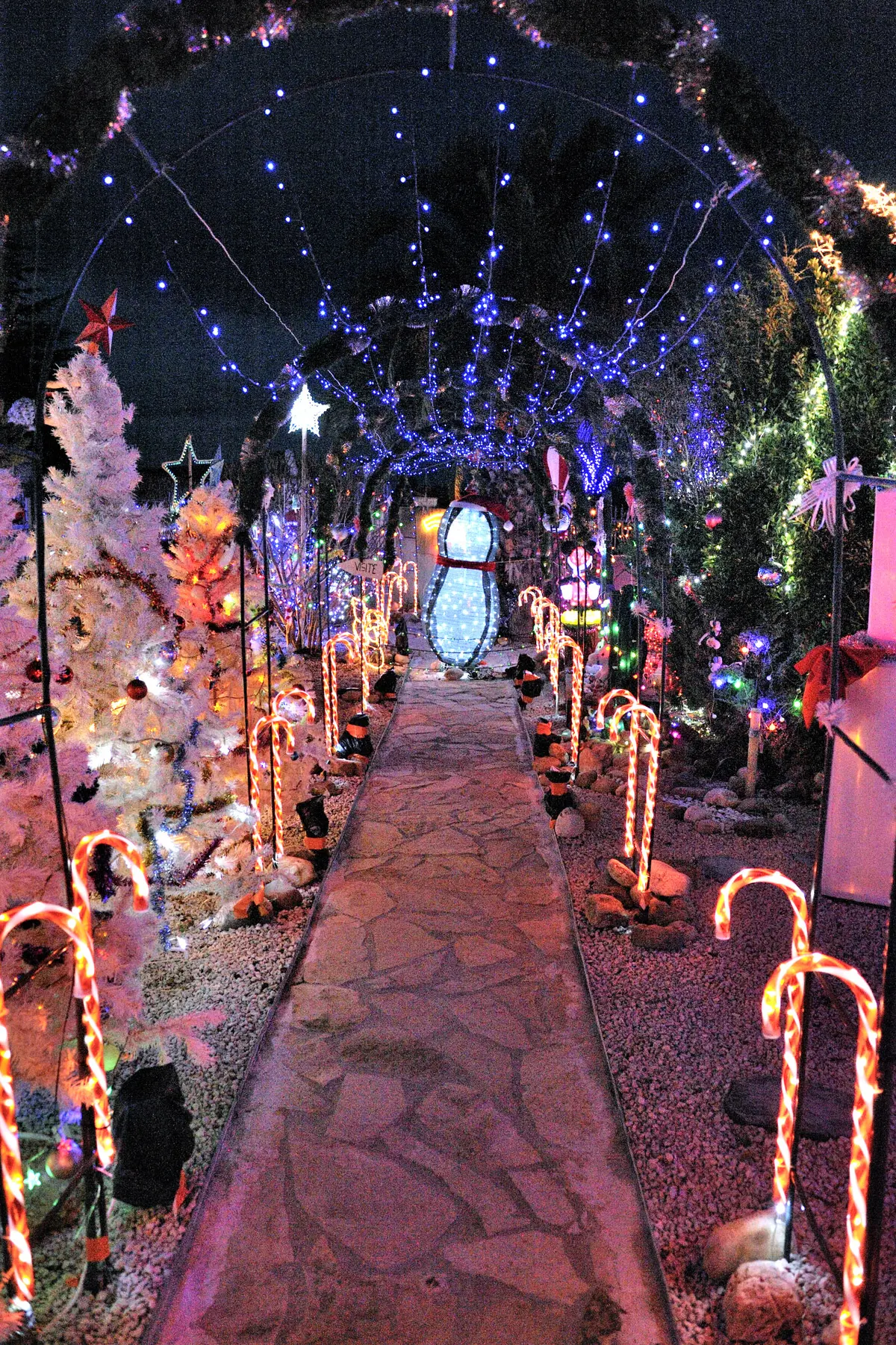Noël à La Maison Illuminée De Creissan
