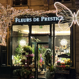 Noël à Paris : un spectacle son et lumière gratuit