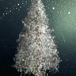 Noël à Saint-Germain du Bel Air
