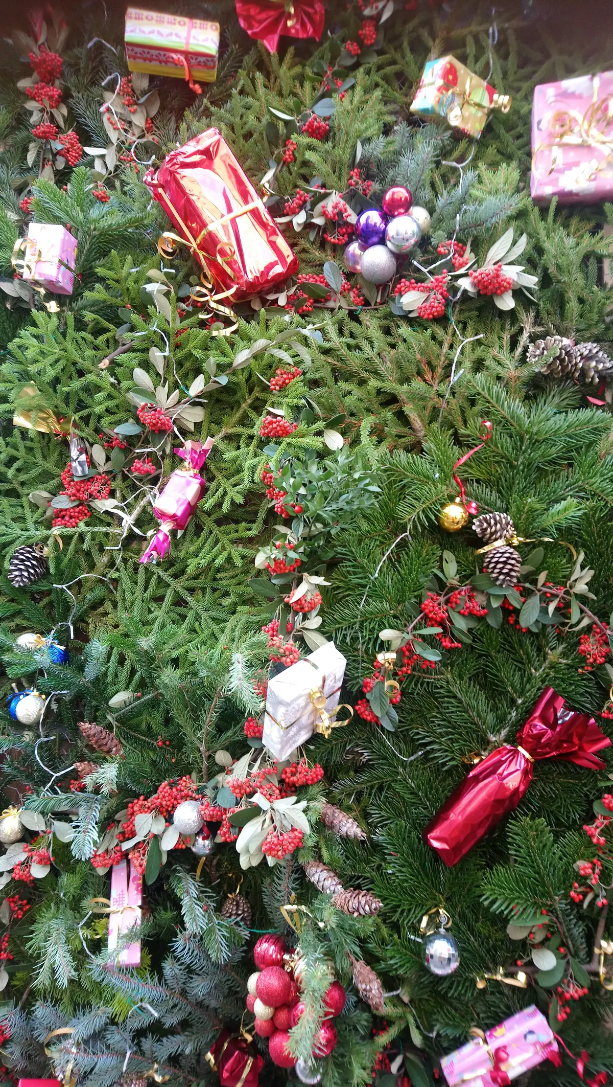 Noël au Domaine d'Homs