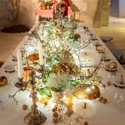 Noël au pays des châteaux : Forteresse royale de Chinon  - Trés(or)