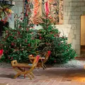 Noël 2026 à la Cité royale de Loches : La belle et la bête
