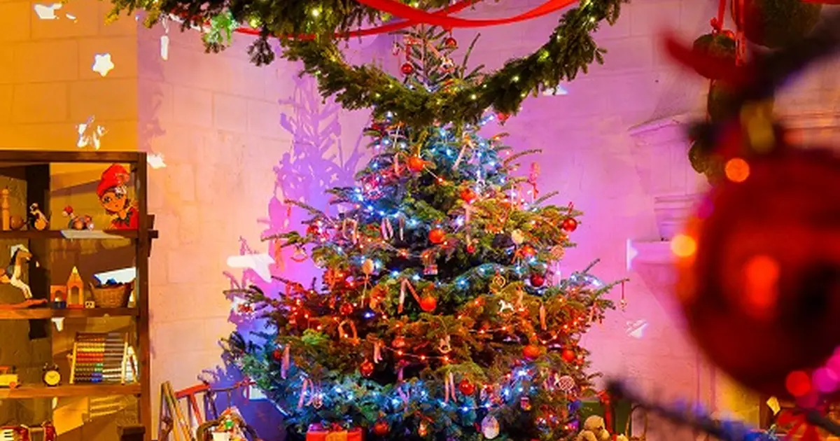 Noël au pays des châteaux : Noël au pays des fées