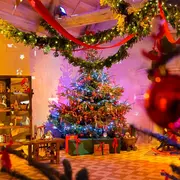 Noël au pays des châteaux : Noël au pays des fées