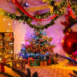 Noël au pays des châteaux : Noël au pays des fées