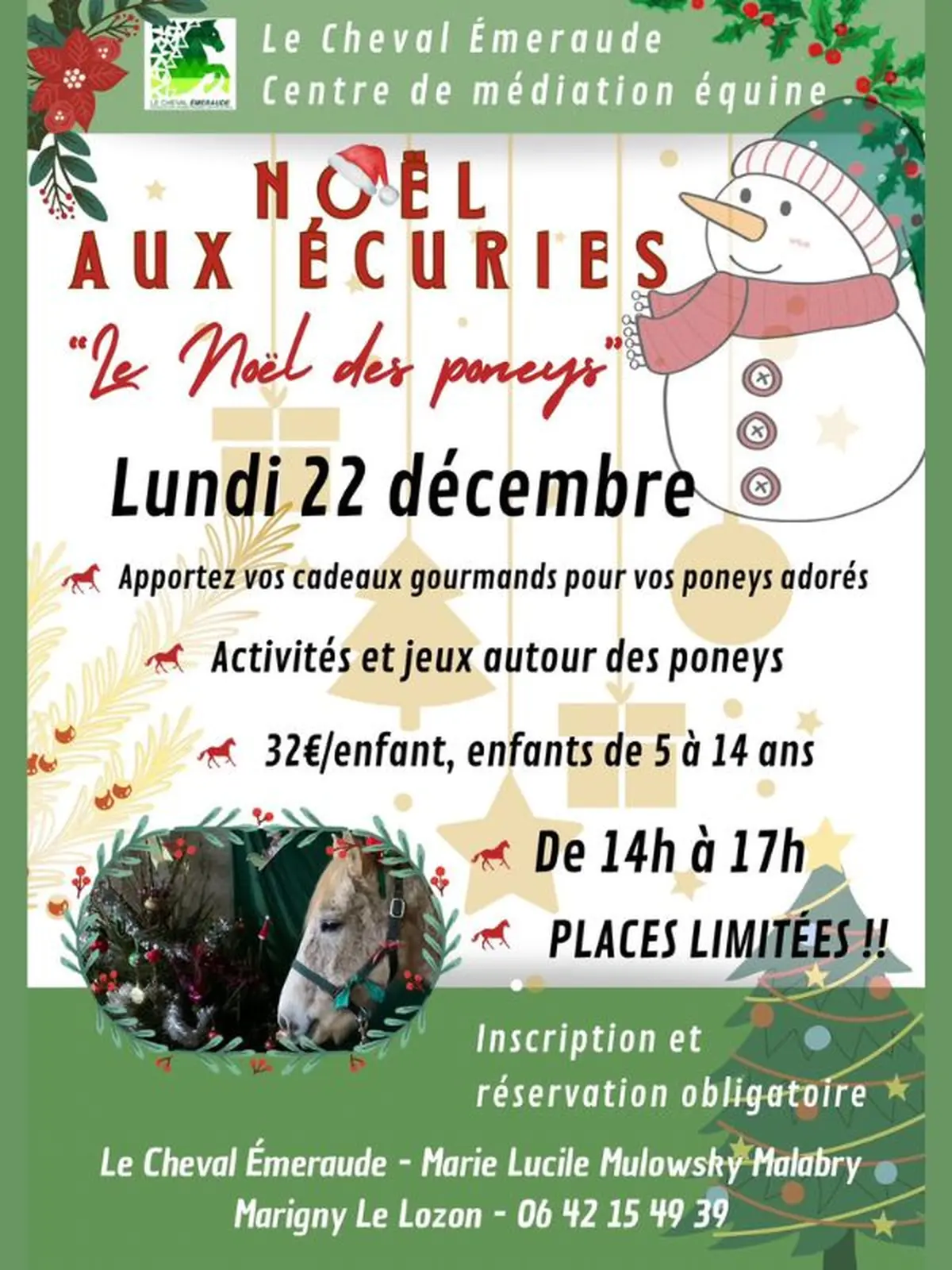 Noël aux écuries > Cheval Emeraude