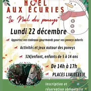 Noël aux écuries > Cheval Emeraude
