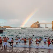 Noël avec les Ours blancs
