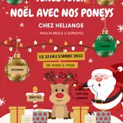 Noël avec les poneys