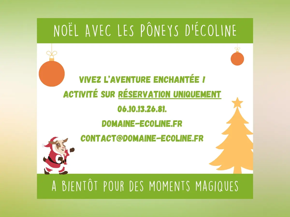 Noël avec les poneys d'Écoline
