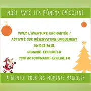 Noël avec les poneys d'Écoline
