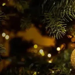 Noël des associations à St Geniez d'Olt