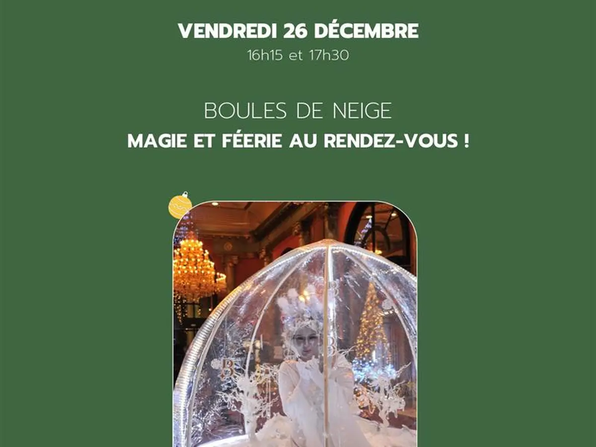 Noël En'chanté - Spectacle boules de neige