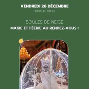 Noël En'chanté - Spectacle boules de neige