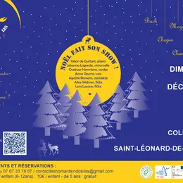 Noël fait son show !