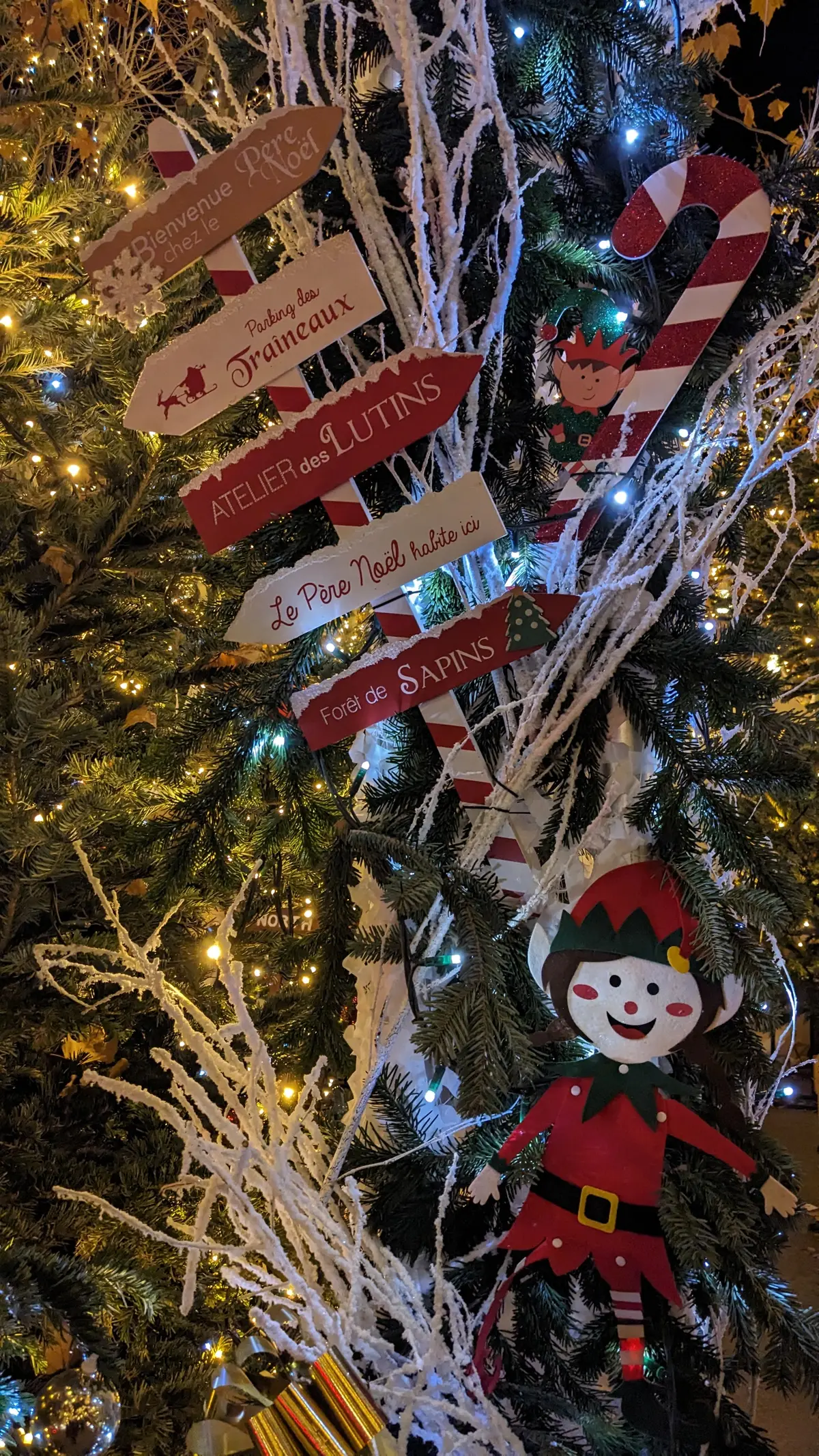 Noël féerique Place Castellane