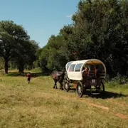 Nomades des Terres : Balades Contées