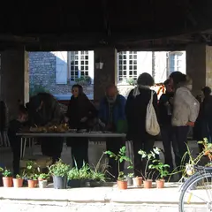 Nos amies les plantes