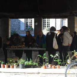 Nos amies les plantes