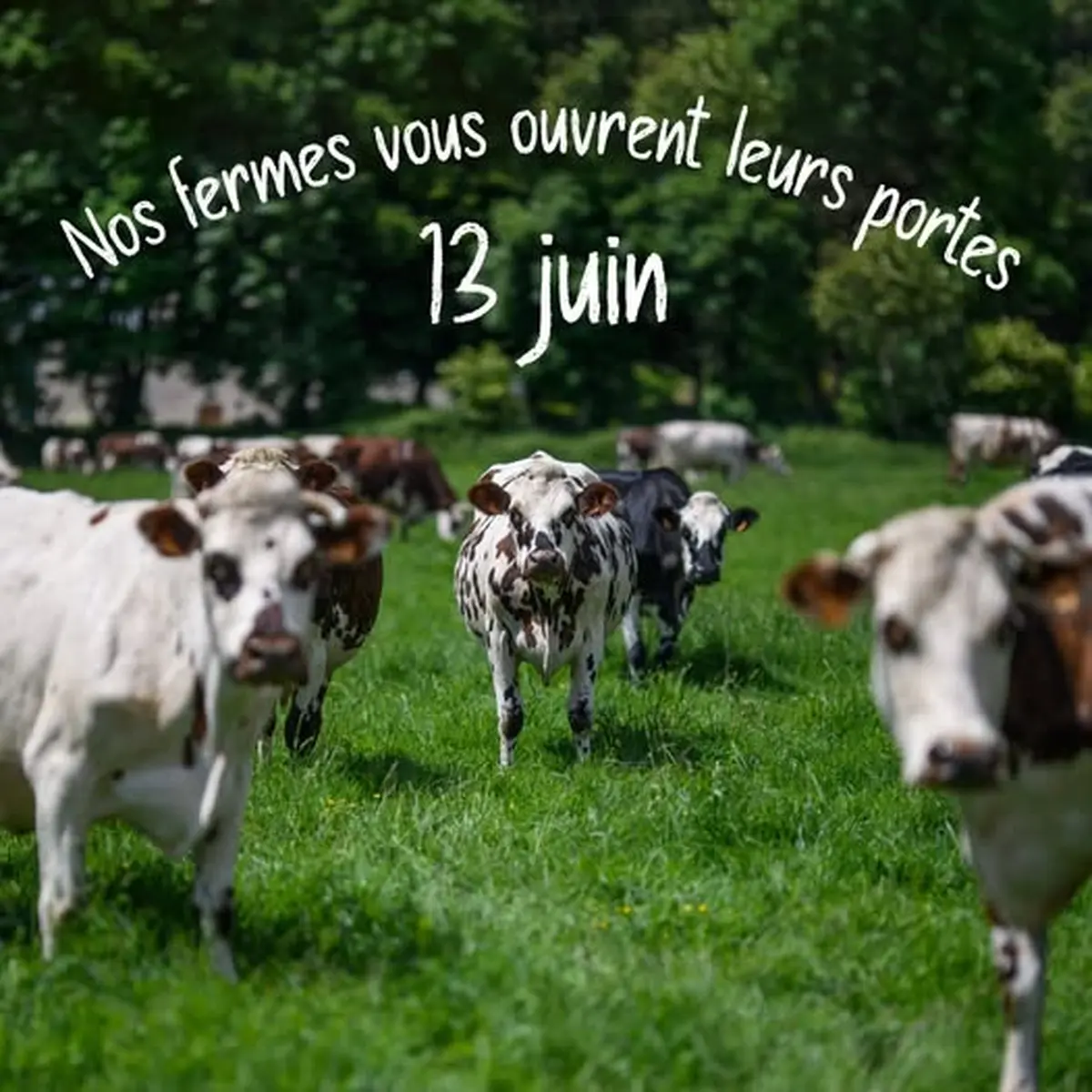 Nos fermes vous ouvrent leurs portes