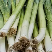 Nos Légumes D'Hiver, De La Graine à L'Assiette