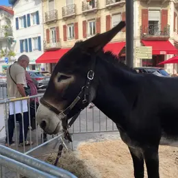 Nos terroirs en fête