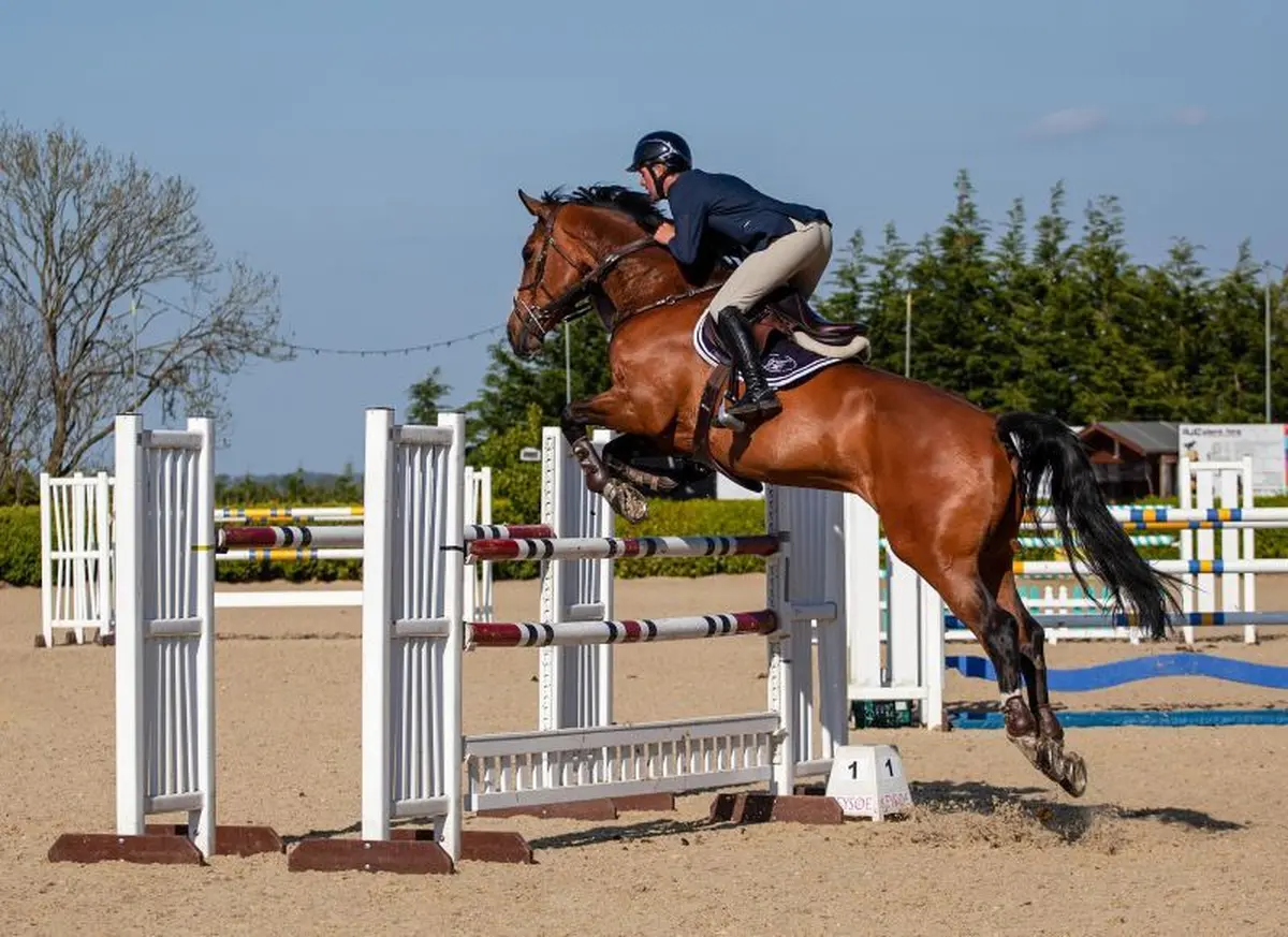 Nouans Jump : Jumping/Concours de Saut d'obstacles