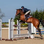 Nouans Jump : Jumping/Concours de Saut d'obstacles