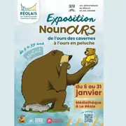 NounOurs - de l'ours des cavernes à l'ours en peluche