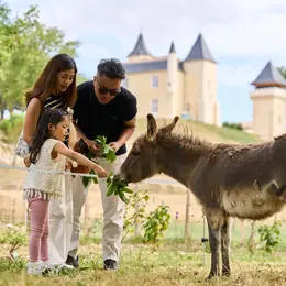 Nourrir les animaux de la ferme et atelier créatif au Château Plain Point