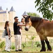 Nourrir les animaux de la ferme et atelier créatif au Château Plain Point
