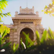 Nous les chauves-souris de Marseille